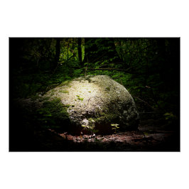 Bog i Skogen Perfect Poster