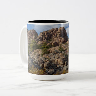 Bog liggande Prescott Arizona Höga Landet Två-Tonad Mugg