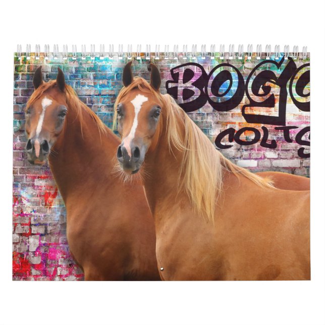 BOGO Colts 2 åriga foto Kalender (Omslag)
