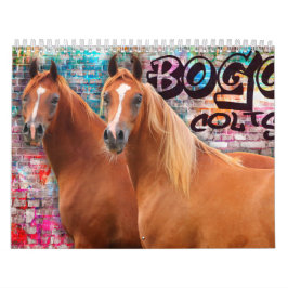 BOGO Colts 2 åriga foto Kalender