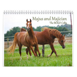 BOGO Colts Calendar 3 åriga bilder Kalender