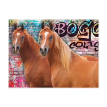 BOGO Colts - Graffiti Post Card - Arabiska hästar