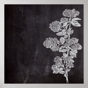 Bohemian Chic french country chalkboard botanical Poster