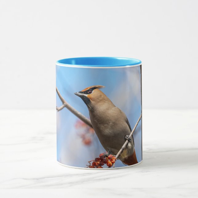 Bohemian Waxwing - Canadian Wildlife - Photograph Mugg (Center)