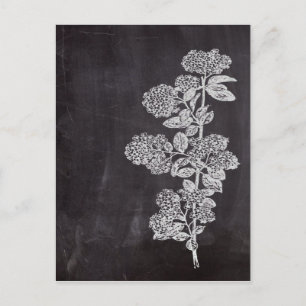Bohemisk Chic fransk land, botaniskt skartong för Vykort