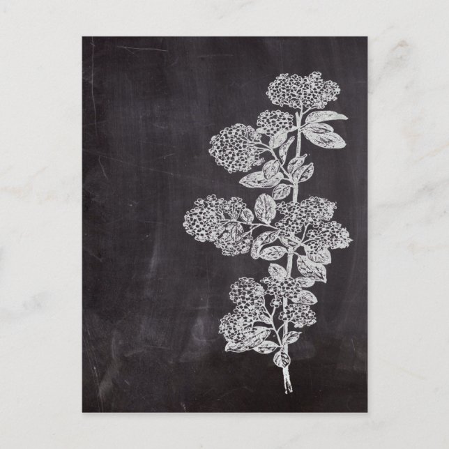 Bohemisk Chic fransk land, botaniskt skartong för Vykort (Framsida)