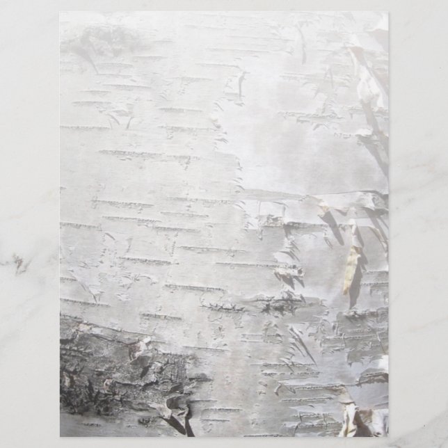 bohemisk rustik lantlig chic träd bark vit björk (Framsida)