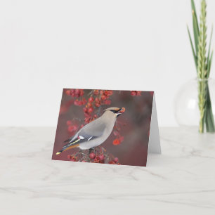Bohemisk Waxwing Notecards Kort
