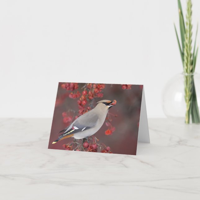 Bohemisk Waxwing Notecards Kort (Framsida)
