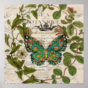 bohemiska skript fransk botanisk fjäril poster