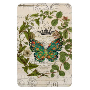 bohemmet skrivar den franska botaniska fjärilen magnet