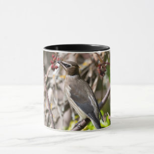 Böhmen, vila på Gren Mugg