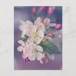 Boho Aesthetic Post Card 018 Vykort