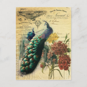boho blommigt fransk land moderna vintage-påk vykort