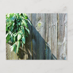 Boho botaniska örter löv rustic Barn-wood Vykort