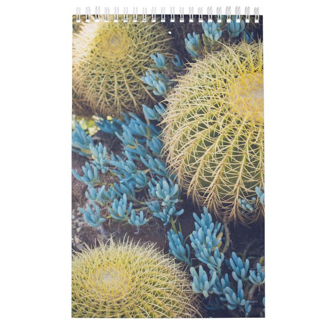 Boho Cactus Garden Kalender (Omslag)