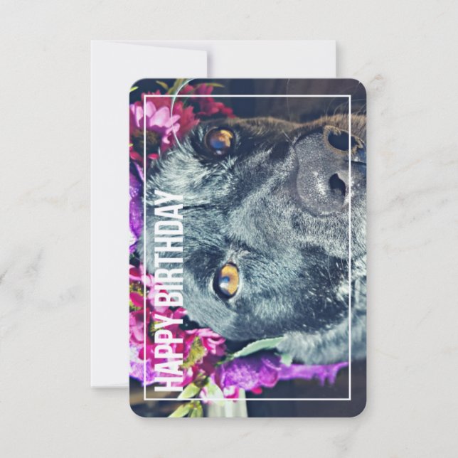 Boho Heeler Birthday Card Inbjudningar (Framsida)