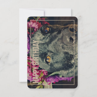 Boho Heeler Birthday Card Inbjudningar