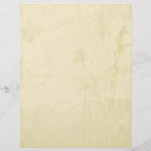 Boho Papper Letterhead