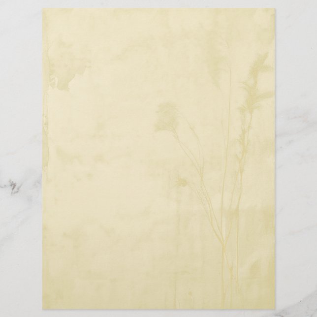 Boho Papper Letterhead (Framsida)