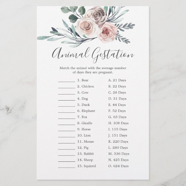 Boho Ro Baby Shower Animal Gestation Game (Framsida)