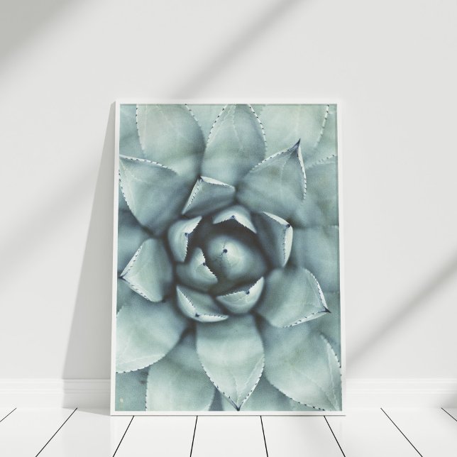 Boho Sage Grönt Succulated Closeup Poster (Pastel Green Succulent Closeup Poster in white frame on white wooden floor.)