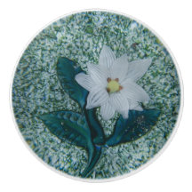 Boho White Star Flower Grönt Gnistra