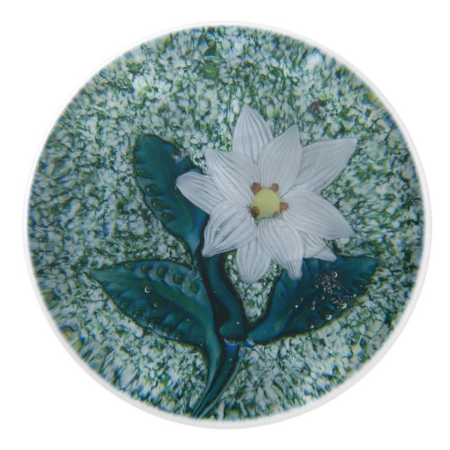 Boho White Star Flower Grönt Gnistra Knopp (Framsidan)