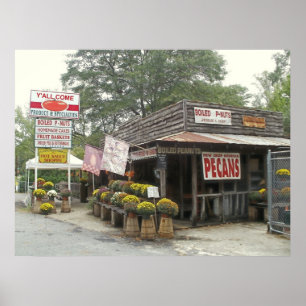 Boiled Peanuts Y'ALL KOM Poster