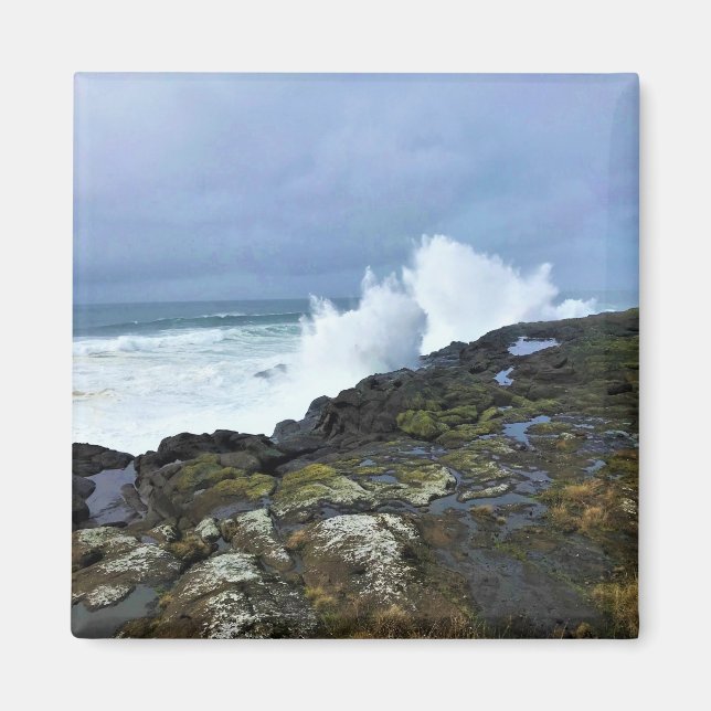 Boiler Bay State Wayside, Depoe Bay, Oregon Magnet (Framsidan)