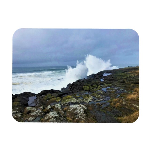 Boiler Bay State Wayside, Depoe Bay, Oregon Magnet (Horisontell)