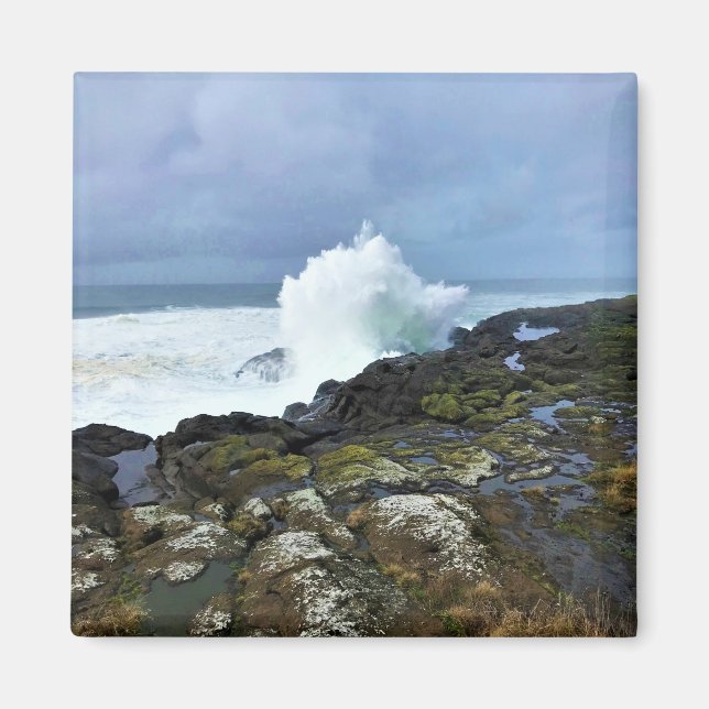Boiler Bay State Wayside, Depoe Bay, Oregon Magnet (Framsidan)