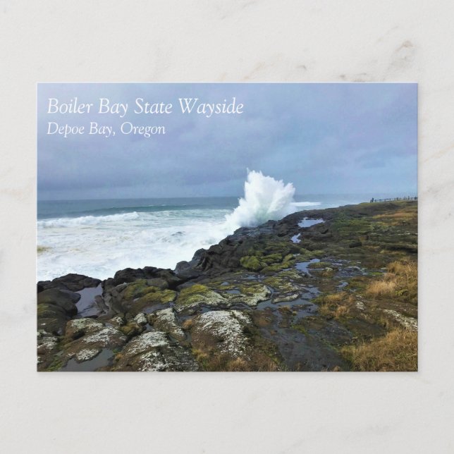 Boiler Bay State Wayside, Depoe Bay, Oregon Postca Vykort (Framsida)