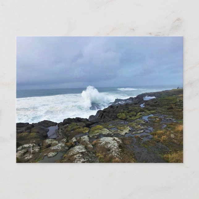 Boiler Bay State Wayside, Depoe Bay, Oregon Vykort (Framsida)