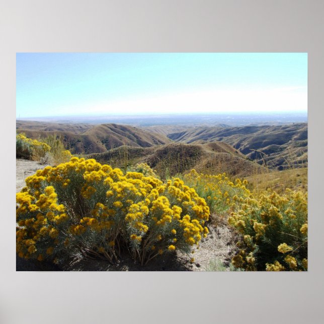 Boise Foothills Poster (Framsidan)