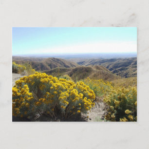 Boise Foothills Vykort