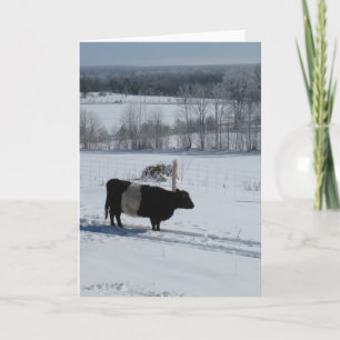 Böjd bläckkoka i ett snöformat liggande kort