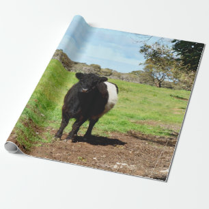 Böjd Galloway Cow Presentpapper