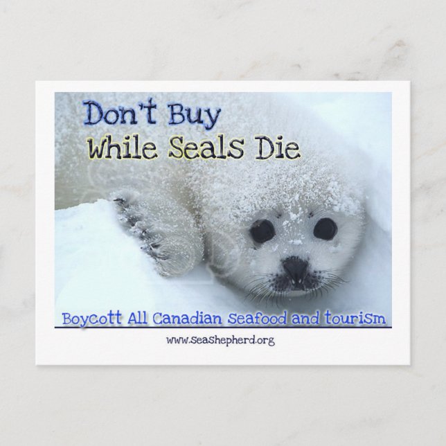 Bojkott Kanada Vykort (Framsida)