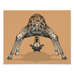 Böjlig giraff fototryck