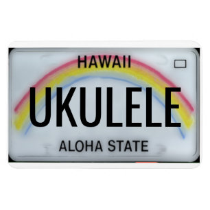 Böjlig Hawaii regnbågeregistreringsskylt Magnet