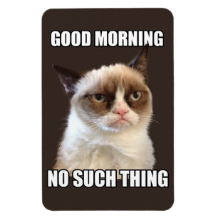 Böjlig magnet för Grumpy katt