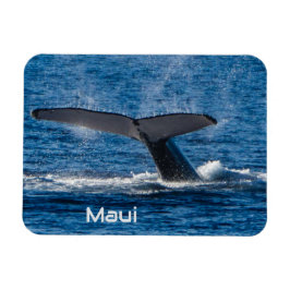 Böjlig magnet i Humpback Valale svan