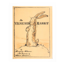 Bok Cover - Velveteen Rabbit