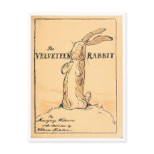 Bok Cover - Velveteen Rabbit