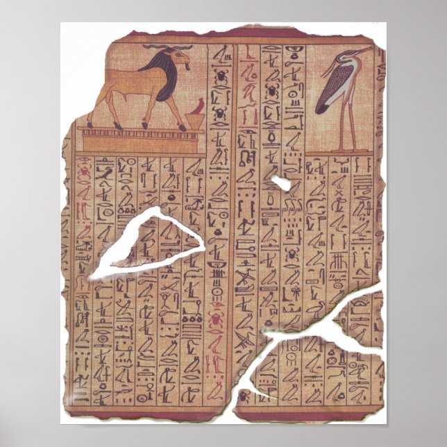 Bok i de döda - Ani Poster (Framsidan)