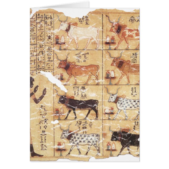 Bok i Dead-Maiherperi-1479bc Hälsningskort (Framsidan)