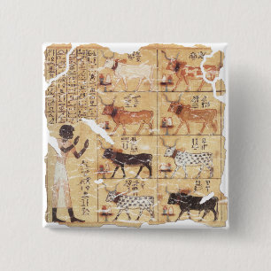 Bok i Dead-Maiherperi-1479bc Knapp