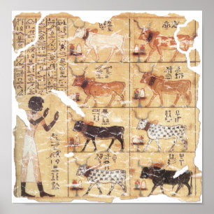 Bok i Dead-Maiherperi-1479bc Poster