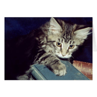 Bokar och katter hälsningskort